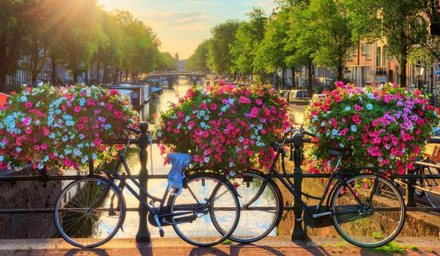 Zájazd do Holandska s návštevou korza Bloemen Corso