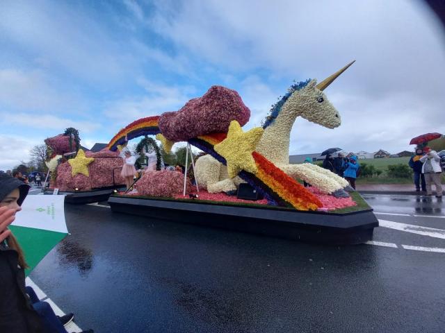 Zájazd do Holandska s návštevou korza Bloemen Corso