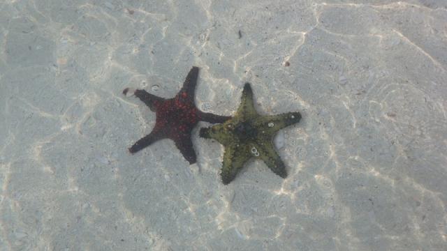 Magický Zanzibar – Ostrov korenia a tyrkysového mora