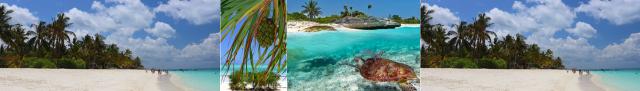 Magický Zanzibar – Ostrov korenia a tyrkysového mora