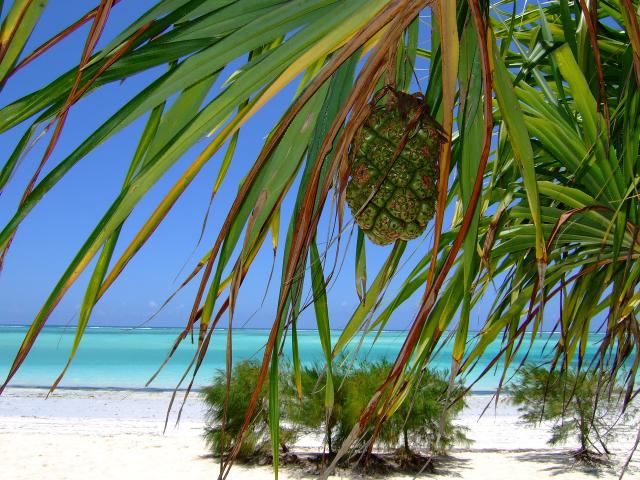 Magický Zanzibar – Ostrov korenia a tyrkysového mora