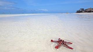 Magický Zanzibar – Ostrov korenia a tyrkysového mora