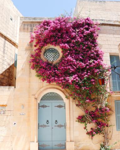 Mdina House