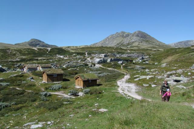 NP Rondane