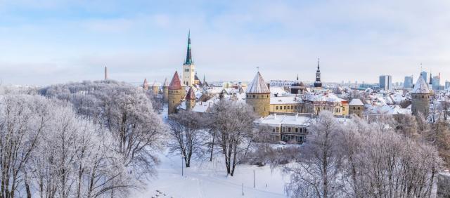 Zimní Tallinn panorama