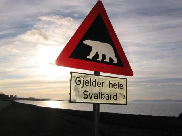 Výstraha před ledními medvědy platí pro celý Svalbard