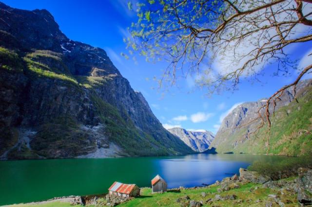 Sognefjord