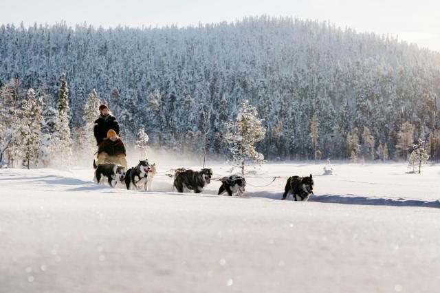 Ylläs - husky safari