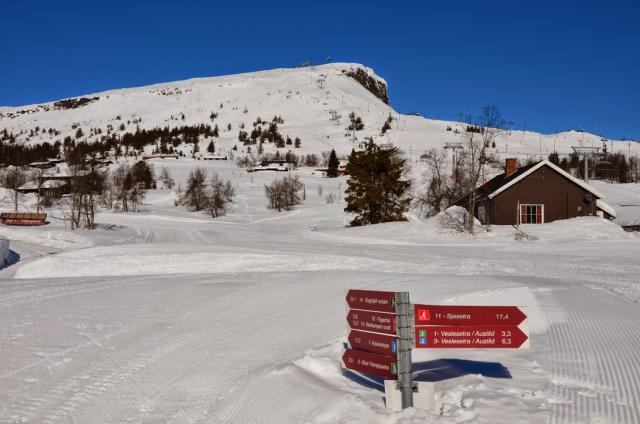 Skeikampen
