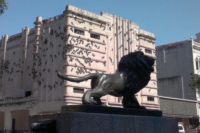 Roc Presidente