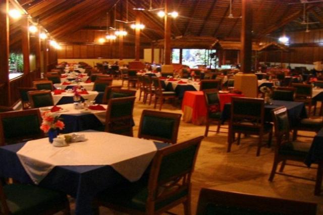RESTAURACE