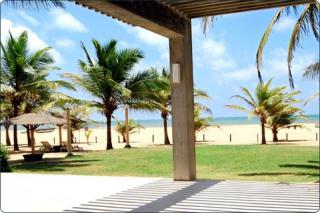 Goldi Sands