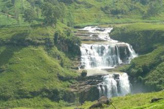 Haridra Resort & Spa