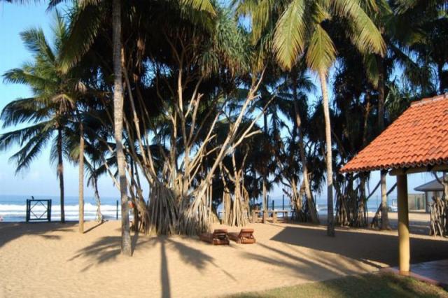 Hibiscus Beach Resort