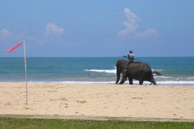 Bentota Beach by Cinnamon