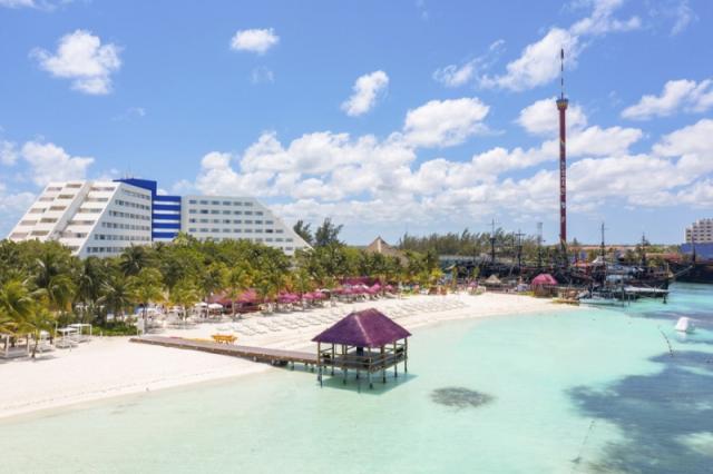 Oasis Palm Grand