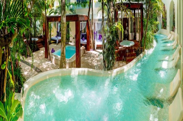 Oasis Palm Grand