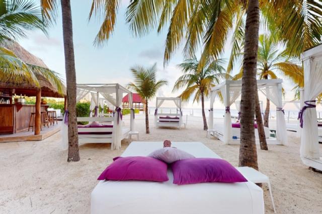 Oasis Palm Grand