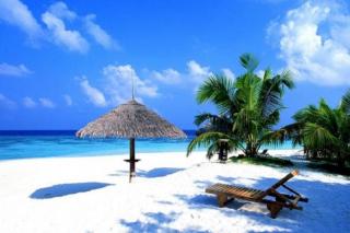 Trinco Blu by Cinnamon