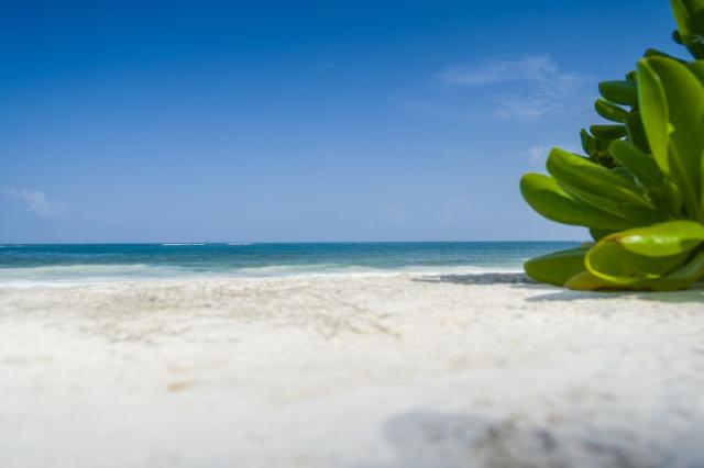 Barcelo Maya Palace Deluxe 