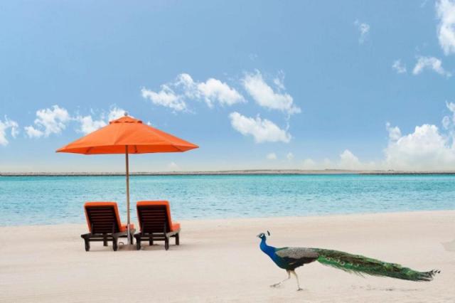 Ja Palm Tree Court And Spa