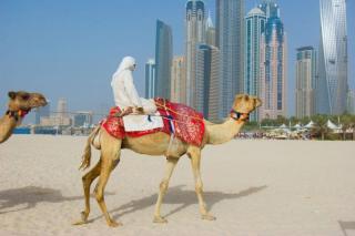 Hilton Garden Inn Dubai Jumeirah
