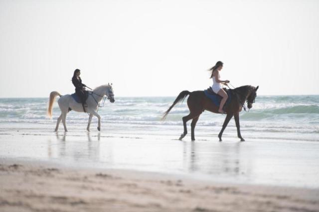 Umm Al Quwain Beach