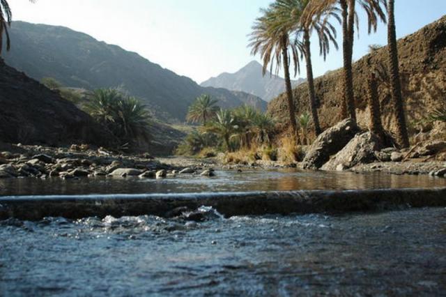 The Cove Rotana Resort