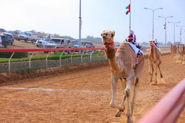 Ajman Saray