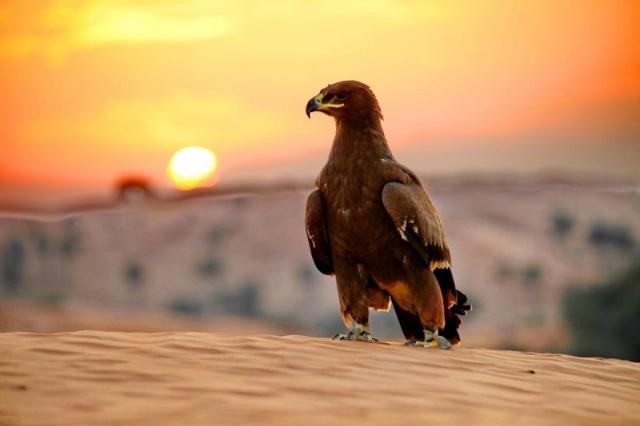 Emirates Palace, Mandarin Oriental