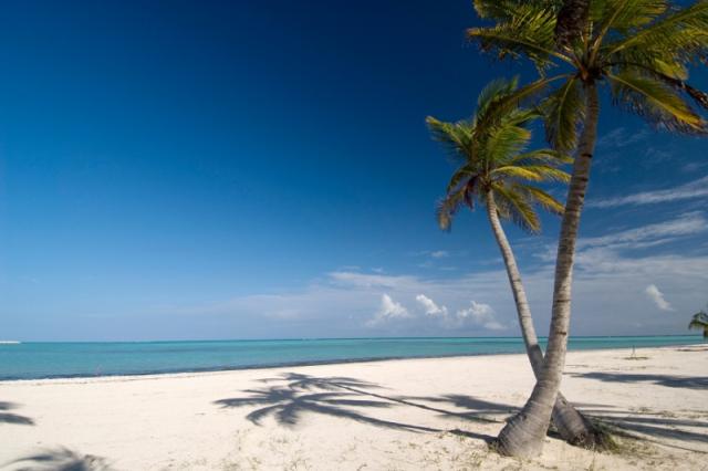 Royalton Punta Cana Resort & Casino