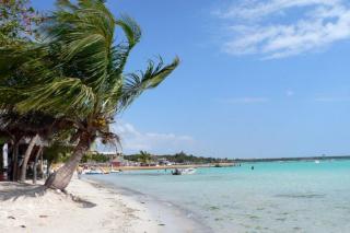 Whala Boca Chica