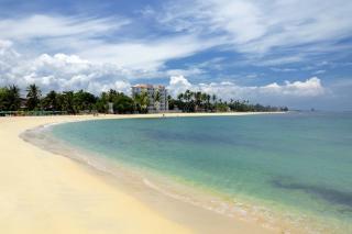 Coral Costa Caribe