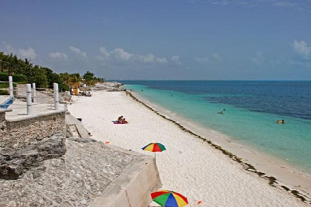 Crown Paradise