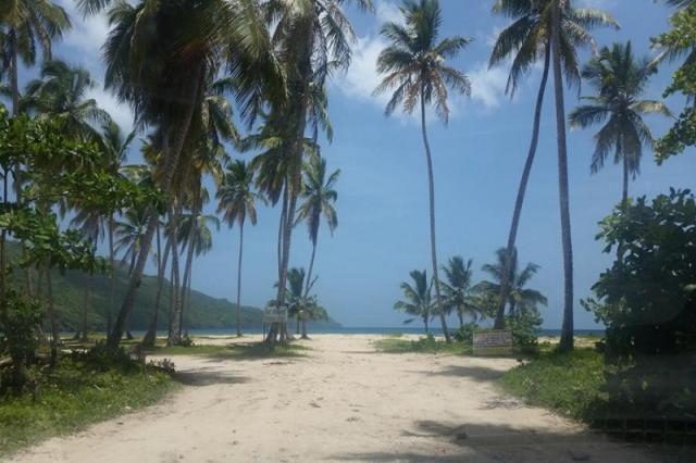 Bavaro Green