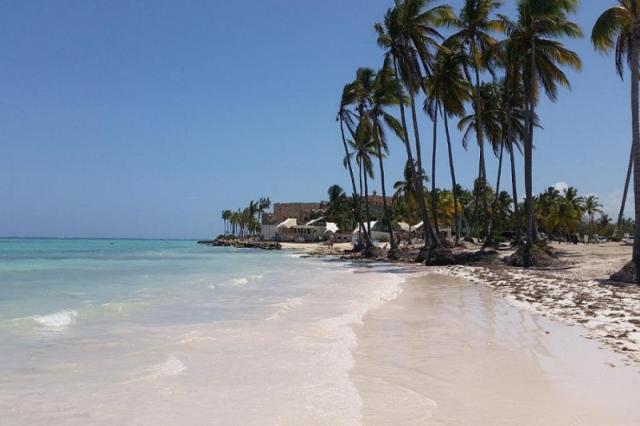 Bavaro Green