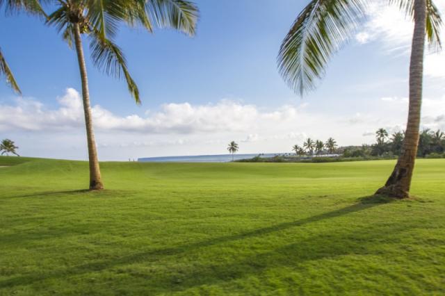 Bavaro Green