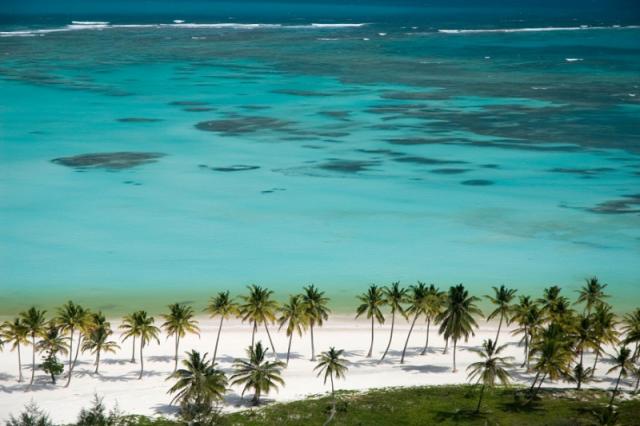 Bavaro Green