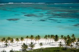 Bavaro Green