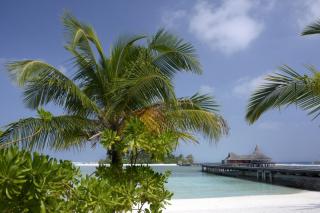Gangehi Island Resort