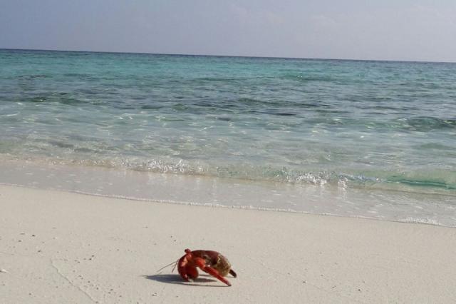 Makunudu Island