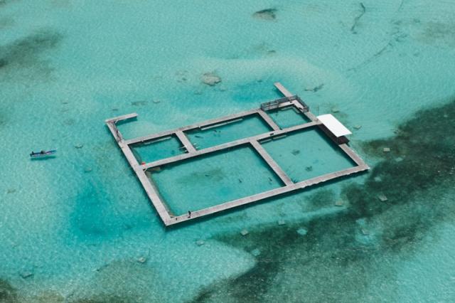 Tortuga Bay