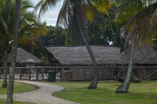 Bacuranao