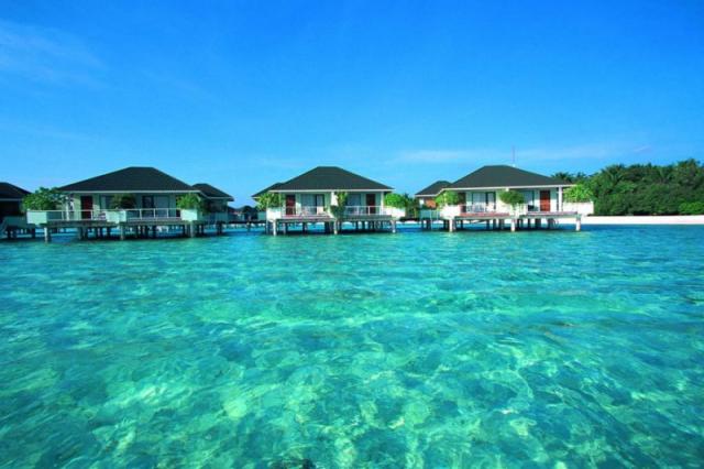 Malahini Kuda Bandos
