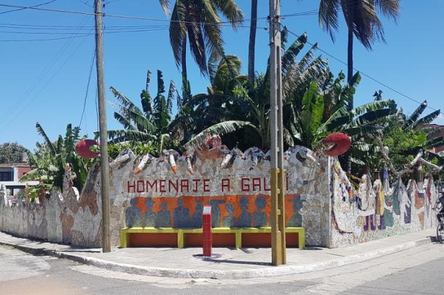 Starfish MonteHabana