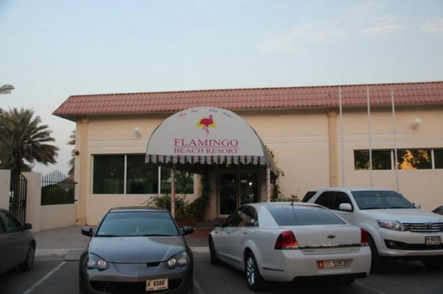 Flamingo Beach Resort