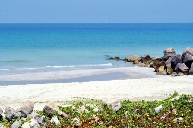 Flamingo Beach Resort