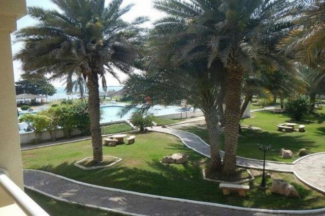 Flamingo Beach Resort