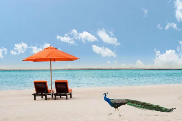JA Beach Hotel