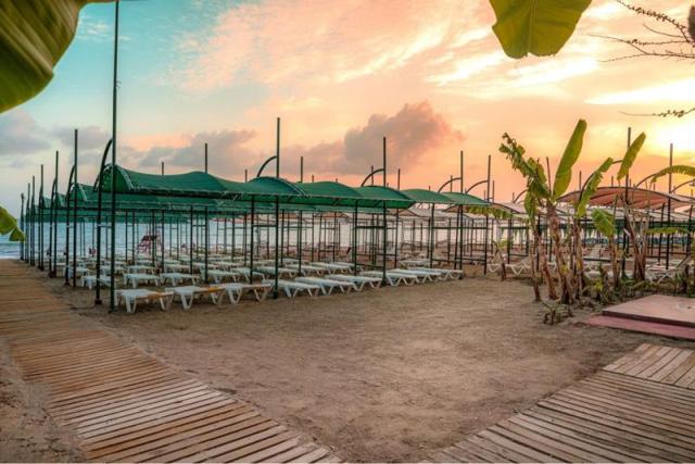 Primasol Telatiye Resort